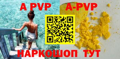 spice Кингисепп