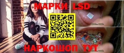 spice Кингисепп