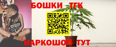 spice Кингисепп