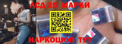 spice Кингисепп