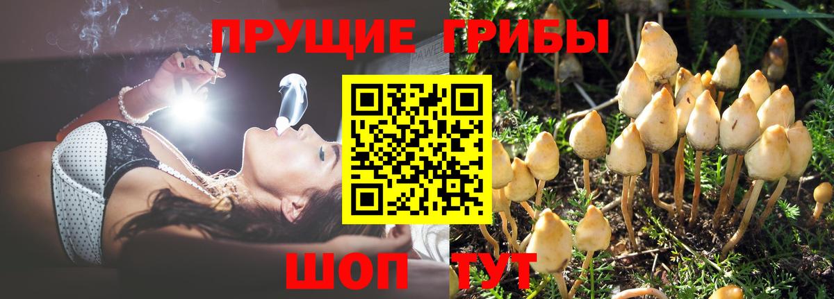 Бошки Шишки  Cocaine  Узловая  Меф кристаллы  Экстази  Гашиш  Вход с VPN 