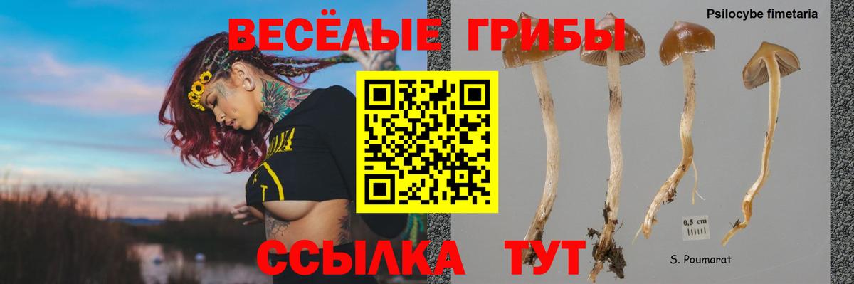 Псилоцибиновые грибы Psilocybine cubensis  Вход с VPN  Узловая 
